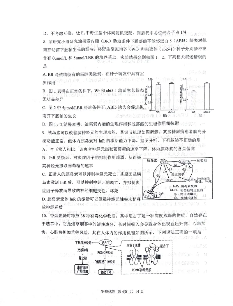 2024届山东省实验中学高三下学期5月针对性考试生物试题_2024年5月_01按日期_16号_2024届山东省实验中学高三下学期5月针对性考试