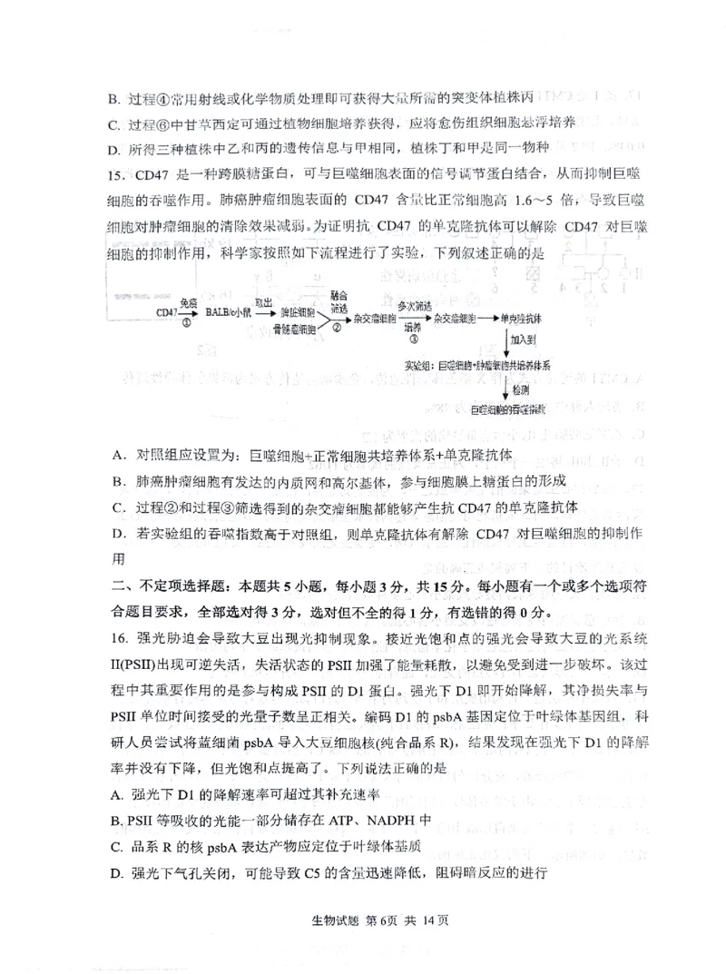 2024届山东省实验中学高三下学期5月针对性考试生物试题_2024年5月_01按日期_16号_2024届山东省实验中学高三下学期5月针对性考试