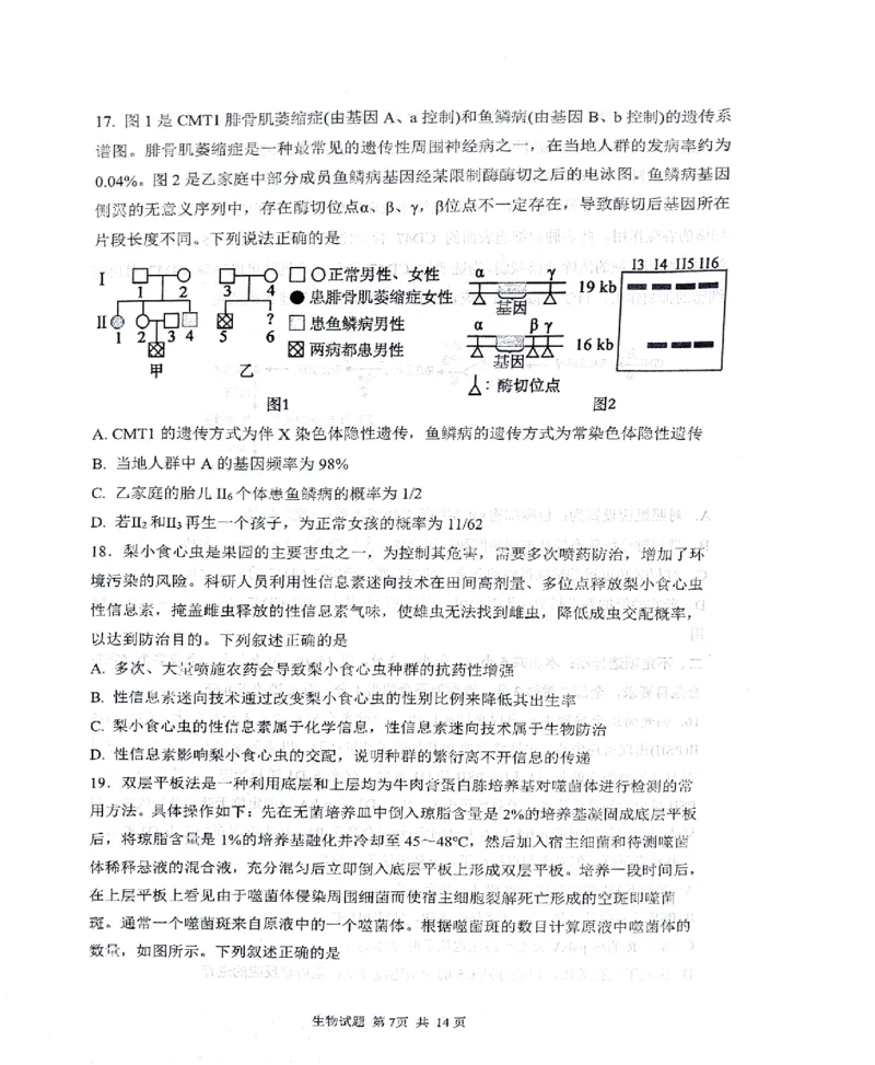 2024届山东省实验中学高三下学期5月针对性考试生物试题_2024年5月_01按日期_16号_2024届山东省实验中学高三下学期5月针对性考试