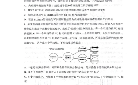 2024届山东省实验中学高三下学期5月针对性考试生物试题_2024年5月_01按日期_16号_2024届山东省实验中学高三下学期5月针对性考试