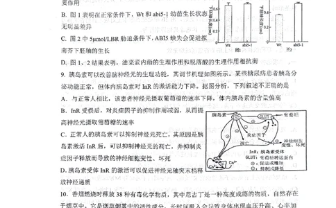 2024届山东省实验中学高三下学期5月针对性考试生物试题_2024年5月_01按日期_16号_2024届山东省实验中学高三下学期5月针对性考试