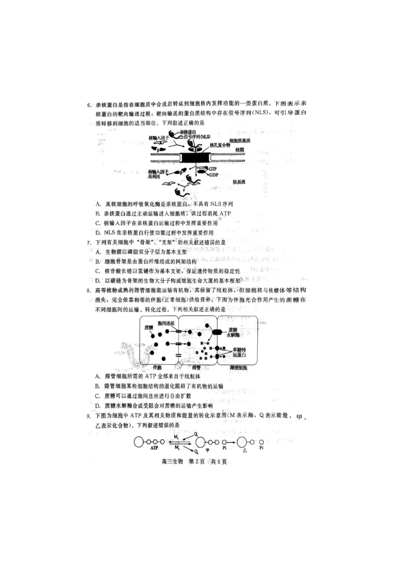 生物试题_2023年9月_01每日更新_29号_2024届河北新时代NT教育高三9月阶段测试_河北新时代NT教育2024届高三9月阶段测试生物