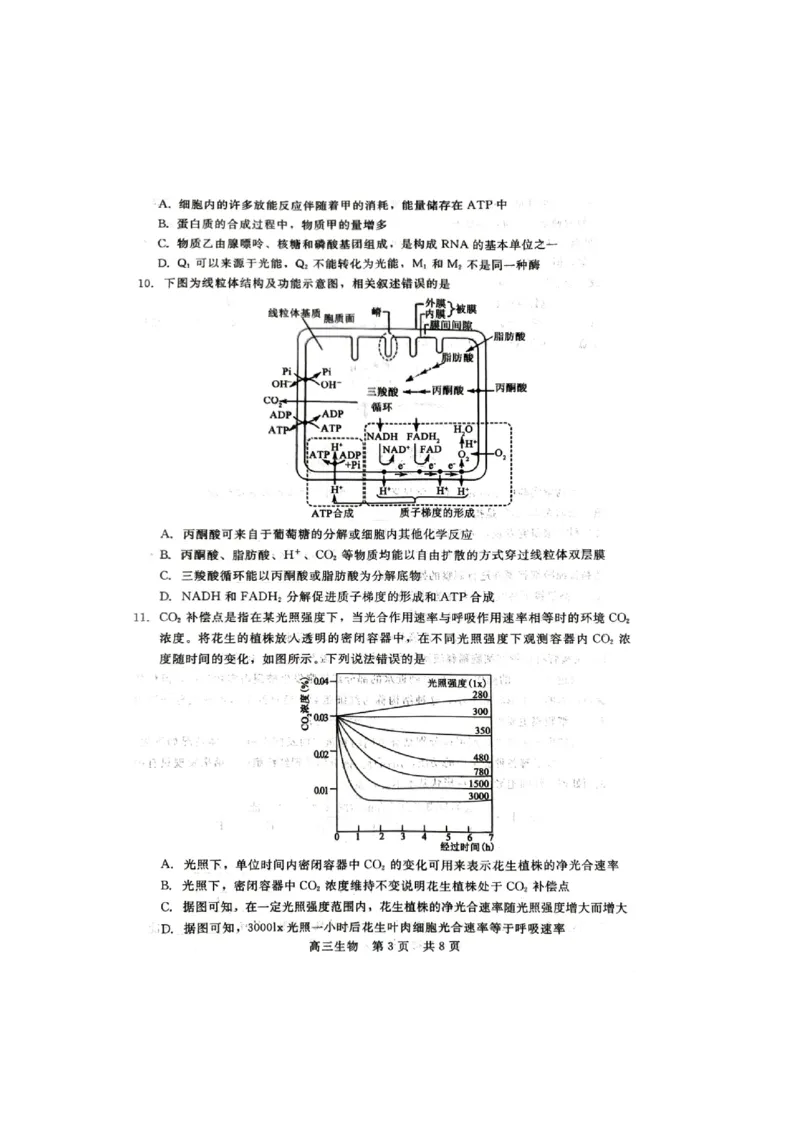 生物试题_2023年9月_01每日更新_29号_2024届河北新时代NT教育高三9月阶段测试_河北新时代NT教育2024届高三9月阶段测试生物