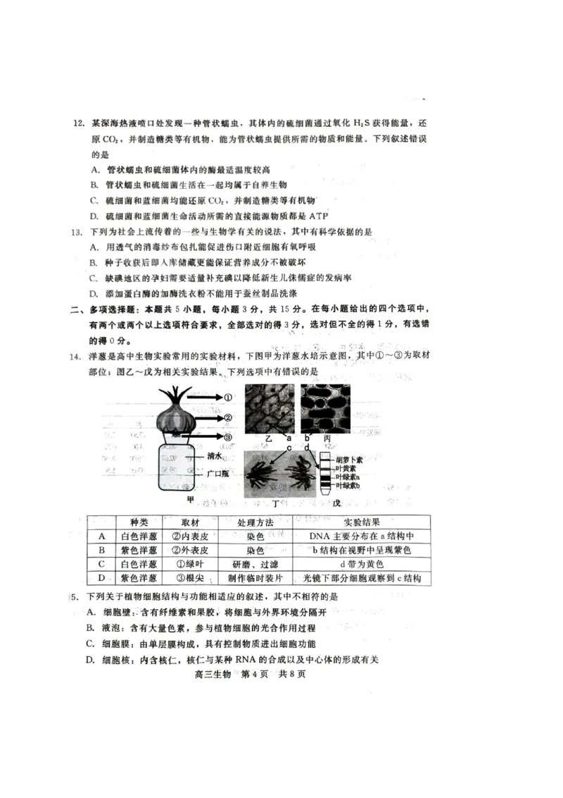 生物试题_2023年9月_01每日更新_29号_2024届河北新时代NT教育高三9月阶段测试_河北新时代NT教育2024届高三9月阶段测试生物