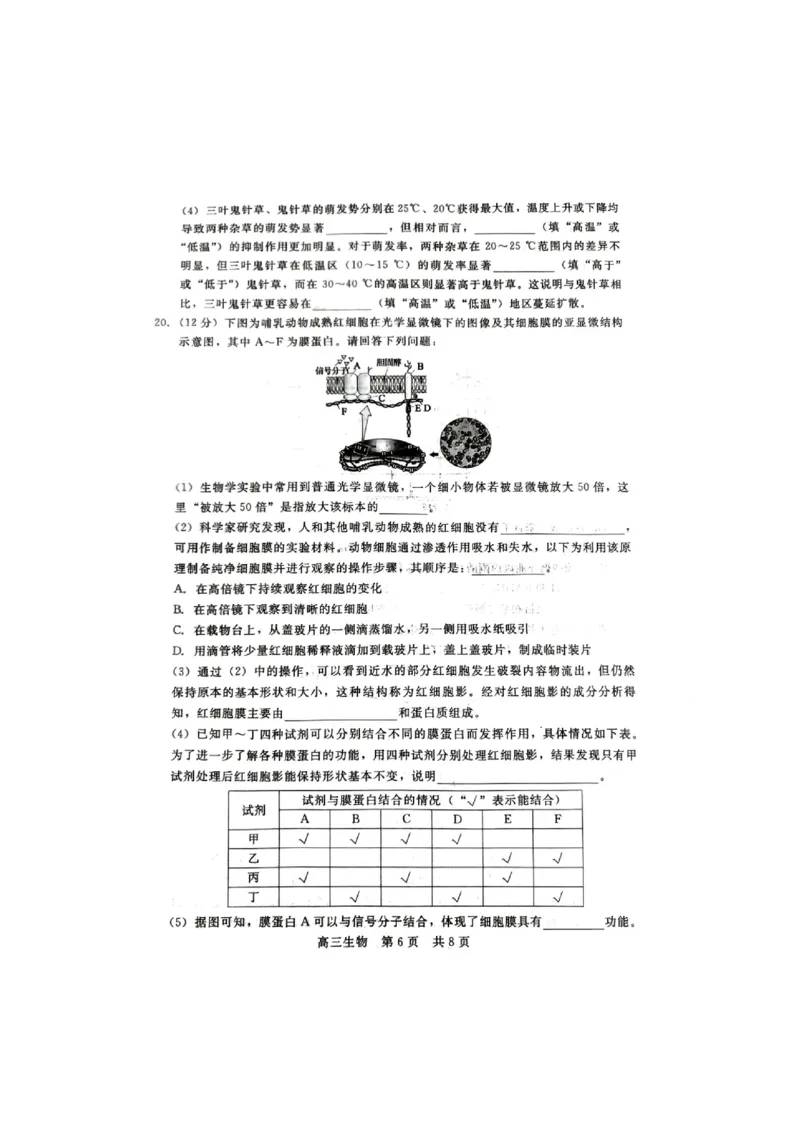 生物试题_2023年9月_01每日更新_29号_2024届河北新时代NT教育高三9月阶段测试_河北新时代NT教育2024届高三9月阶段测试生物
