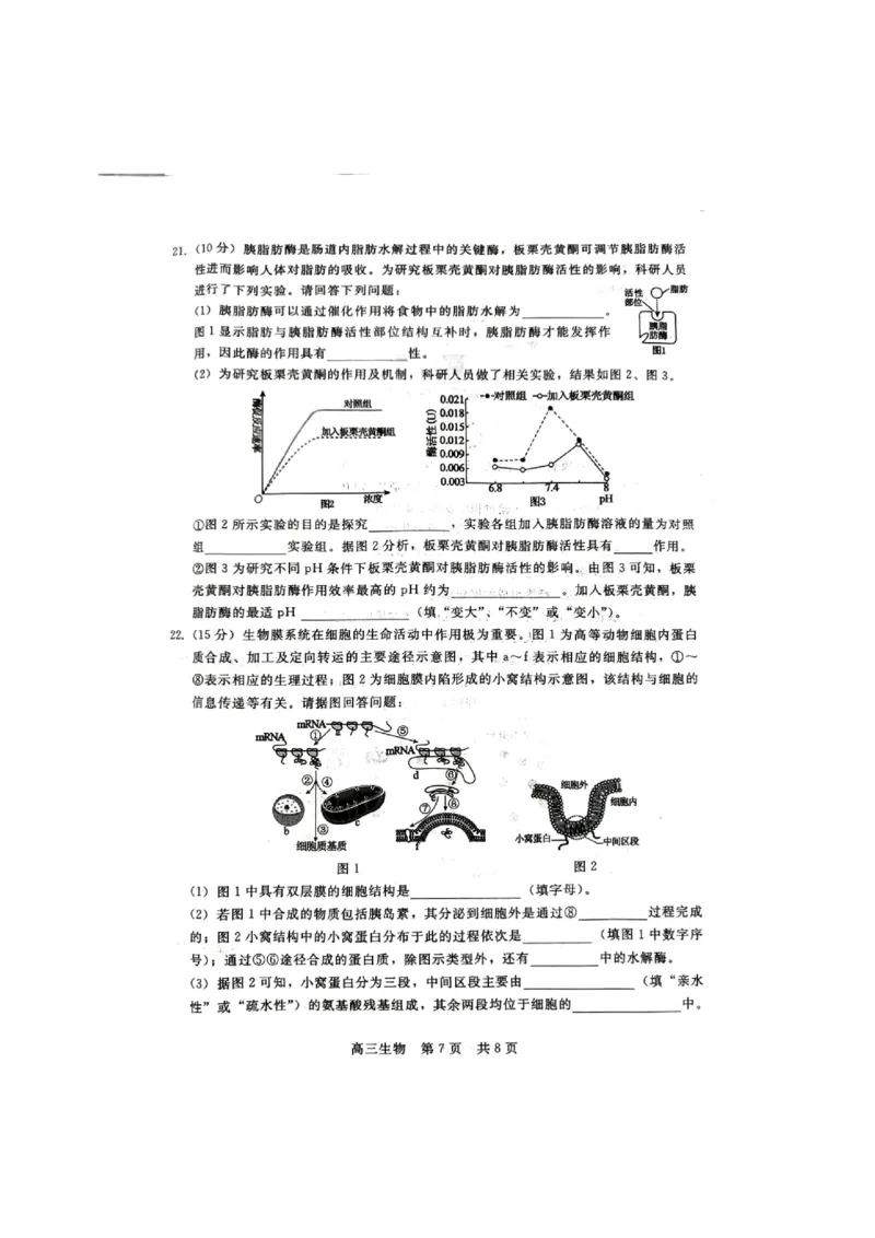 生物试题_2023年9月_01每日更新_29号_2024届河北新时代NT教育高三9月阶段测试_河北新时代NT教育2024届高三9月阶段测试生物
