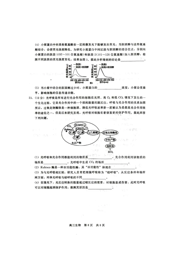 生物试题_2023年9月_01每日更新_29号_2024届河北新时代NT教育高三9月阶段测试_河北新时代NT教育2024届高三9月阶段测试生物