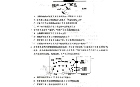 生物试题_2023年9月_01每日更新_29号_2024届河北新时代NT教育高三9月阶段测试_河北新时代NT教育2024届高三9月阶段测试生物