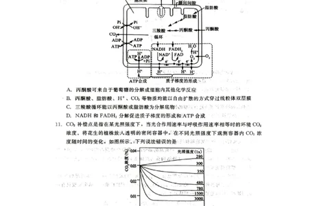 生物试题_2023年9月_01每日更新_29号_2024届河北新时代NT教育高三9月阶段测试_河北新时代NT教育2024届高三9月阶段测试生物