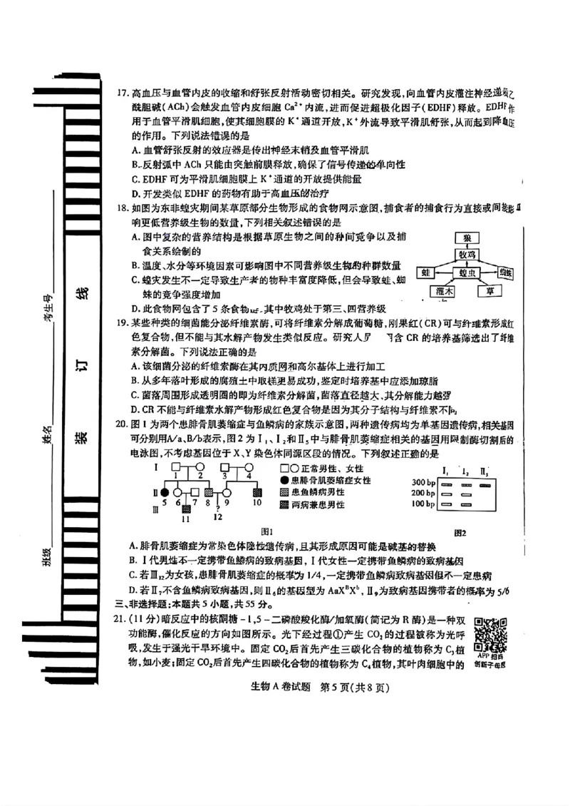 生物AB_2024高考押题卷_12024天星全系列_@@@天星临考押题密卷汇总重复_2024年tx高考临考押题密卷辽宁专版