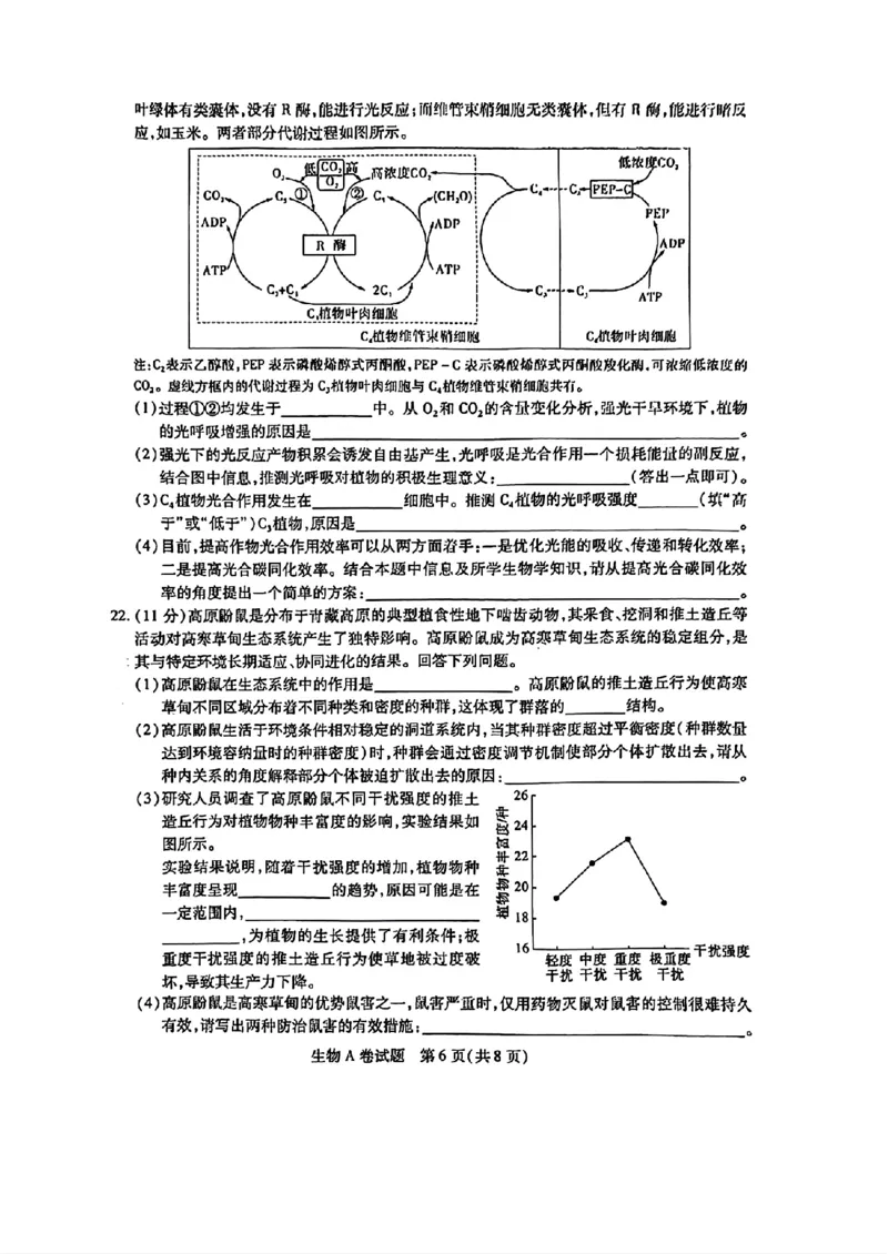 生物AB_2024高考押题卷_12024天星全系列_@@@天星临考押题密卷汇总重复_2024年tx高考临考押题密卷辽宁专版