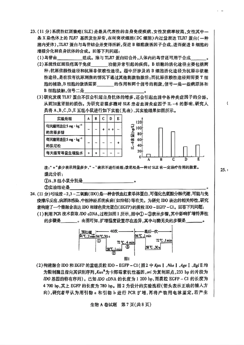 生物AB_2024高考押题卷_12024天星全系列_@@@天星临考押题密卷汇总重复_2024年tx高考临考押题密卷辽宁专版