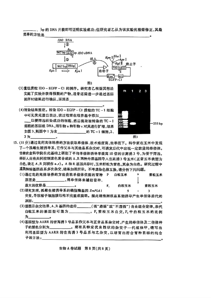 生物AB_2024高考押题卷_12024天星全系列_@@@天星临考押题密卷汇总重复_2024年tx高考临考押题密卷辽宁专版