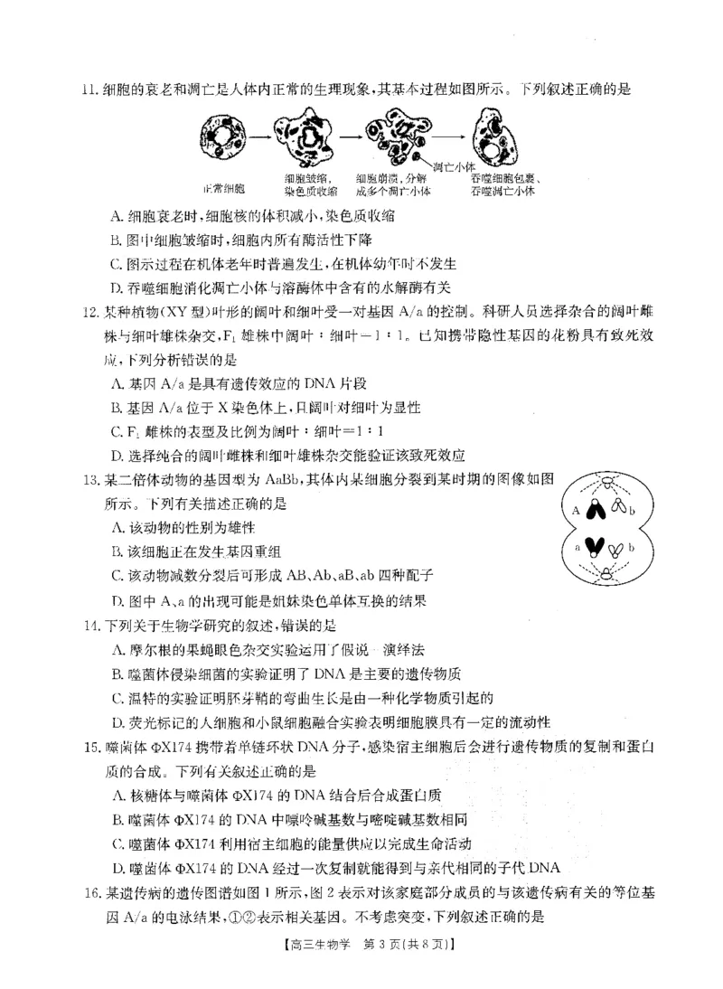 生物(1)_2023年10月_0210月合集_2024届山西省高三上学期10月金太阳联考_山西省2024届高三上学期10月金太阳联考生物