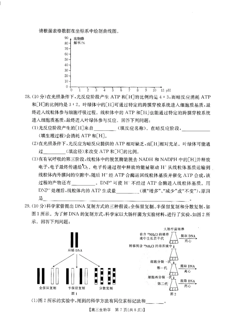 生物(1)_2023年10月_0210月合集_2024届山西省高三上学期10月金太阳联考_山西省2024届高三上学期10月金太阳联考生物