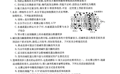 生物(1)_2023年10月_0210月合集_2024届山西省高三上学期10月金太阳联考_山西省2024届高三上学期10月金太阳联考生物