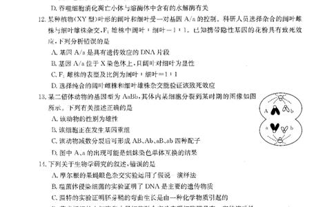 生物(1)_2023年10月_0210月合集_2024届山西省高三上学期10月金太阳联考_山西省2024届高三上学期10月金太阳联考生物