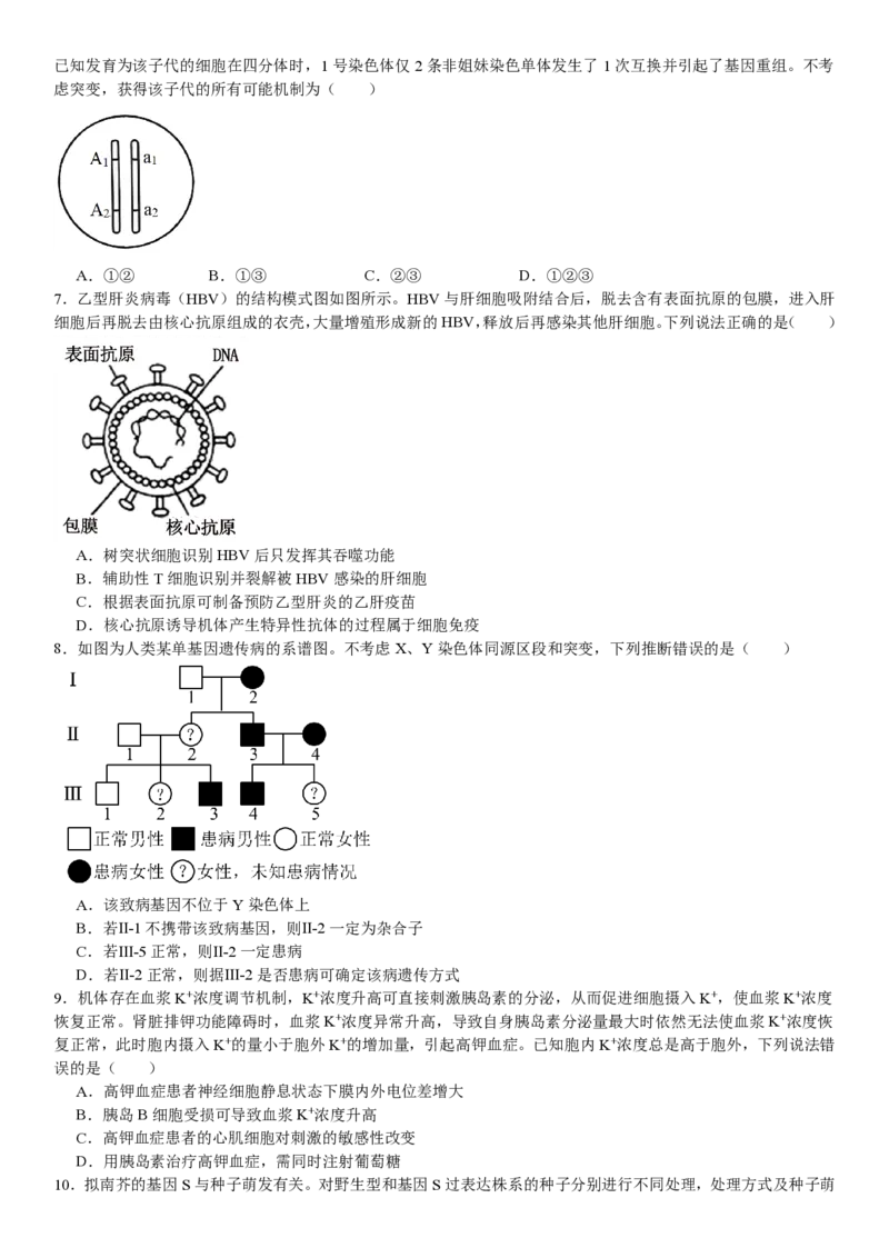 山东生物-试题-p_近10年高考真题汇编（必刷）_2024年高考真题_高考真题（截止6.29）_山东卷副科（6科全）