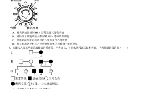 山东生物-试题-p_近10年高考真题汇编（必刷）_2024年高考真题_高考真题（截止6.29）_山东卷副科（6科全）