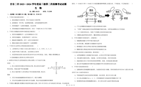 高三级第二次检测考试生物试题(1)_2023年10月_0210月合集_2024届甘肃省天水市甘谷县第二中学高三上学期第二次检测考试（10月）
