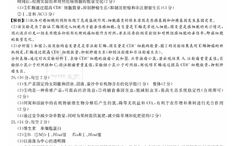 湖南省长郡中学2024届高三月考试卷（一）生物答案_2023年9月_01每日更新_13号_全科2024届湖南省长郡中学高三月考试卷（一）_湖南省长郡中学2024届高三月考试卷（一）生物