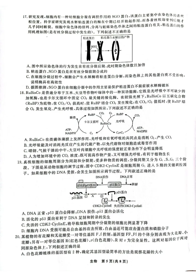辽宁省名校联盟2023-2024学年高三上学期9月联考生物(1)_2023年9月_029月合集_2024届辽宁省名校联盟高三上学期开学统考