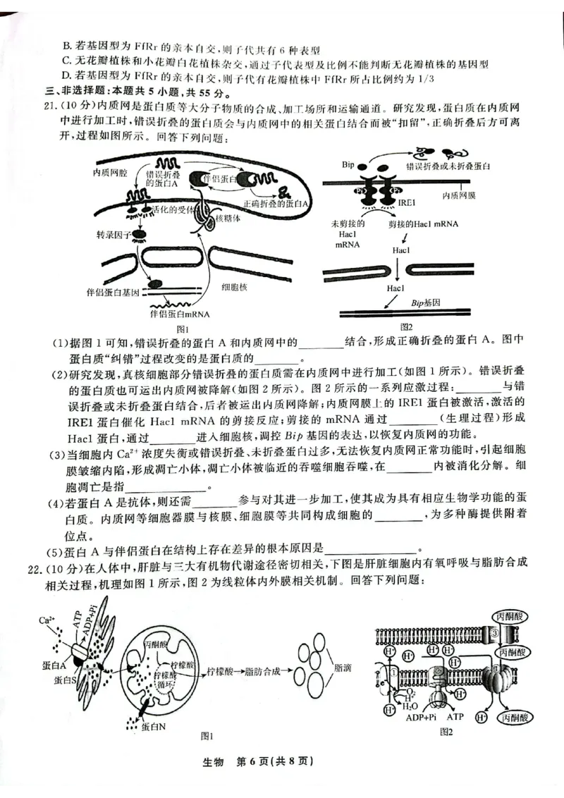 辽宁省名校联盟2023-2024学年高三上学期9月联考生物(1)_2023年9月_029月合集_2024届辽宁省名校联盟高三上学期开学统考