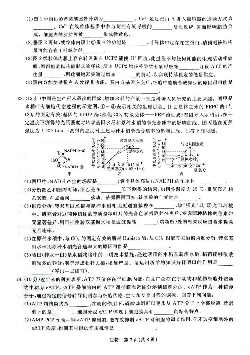 辽宁省名校联盟2023-2024学年高三上学期9月联考生物(1)_2023年9月_029月合集_2024届辽宁省名校联盟高三上学期开学统考