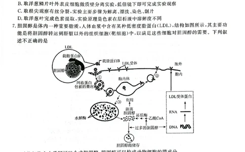 辽宁省名校联盟2023-2024学年高三上学期9月联考生物(1)_2023年9月_029月合集_2024届辽宁省名校联盟高三上学期开学统考