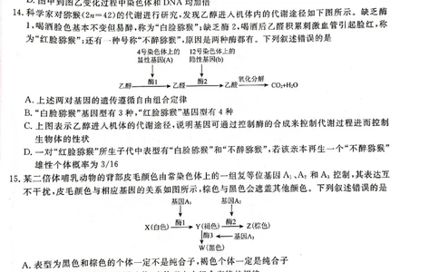 辽宁省名校联盟2023-2024学年高三上学期9月联考生物(1)_2023年9月_029月合集_2024届辽宁省名校联盟高三上学期开学统考