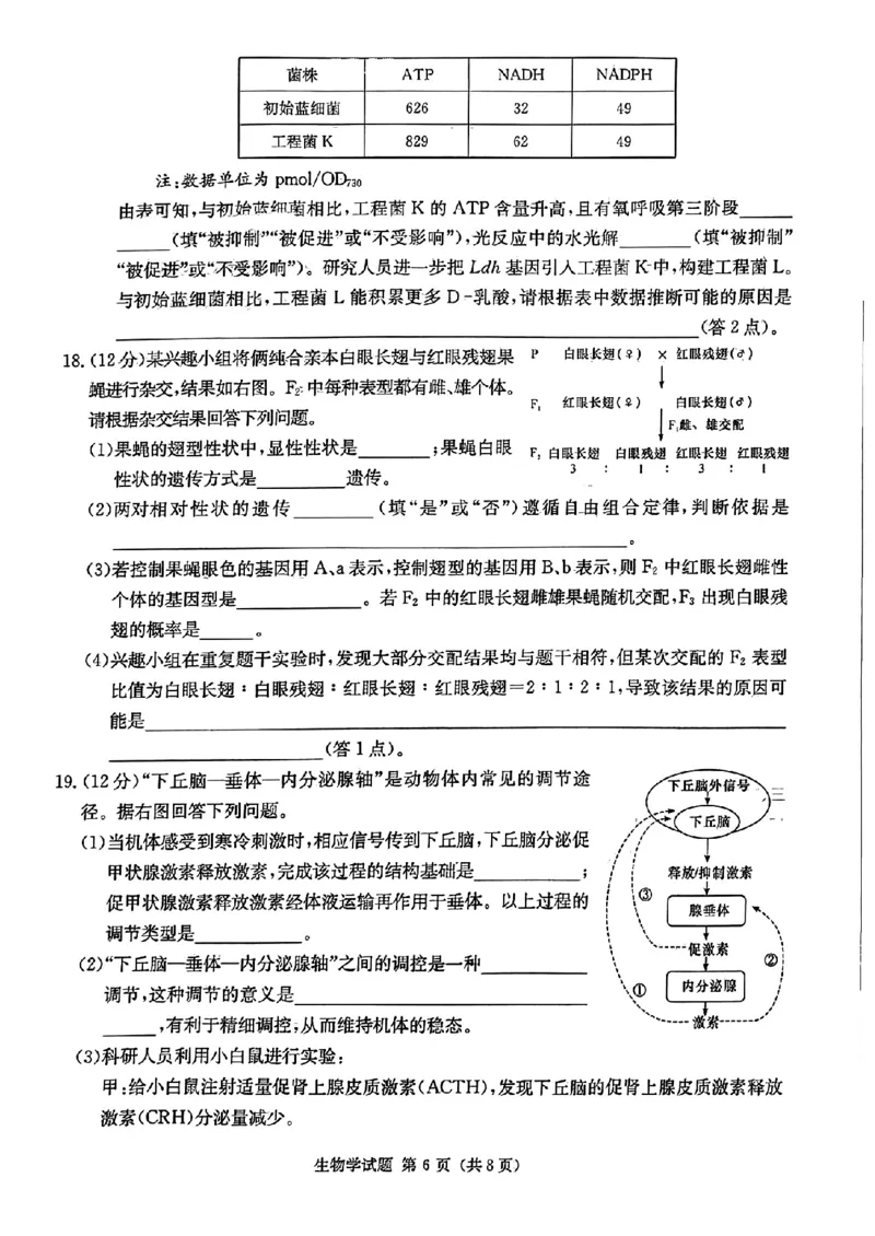 炎德英才高三上(质检Ⅰ)-生物试题+答案(1)_2023年9月_029月合集_2024届湖南省炎德英才联考高三上学期第一次质量检测