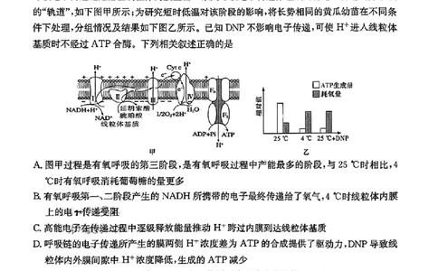 炎德英才高三上(质检Ⅰ)-生物试题+答案(1)_2023年9月_029月合集_2024届湖南省炎德英才联考高三上学期第一次质量检测