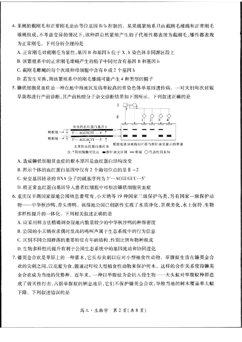 2023-2024学年江西省高三5月高考适应性大练兵联考生物_2024年5月_01按日期_30号_2024届江西省稳派上进高三5月高考适应性大练兵联考