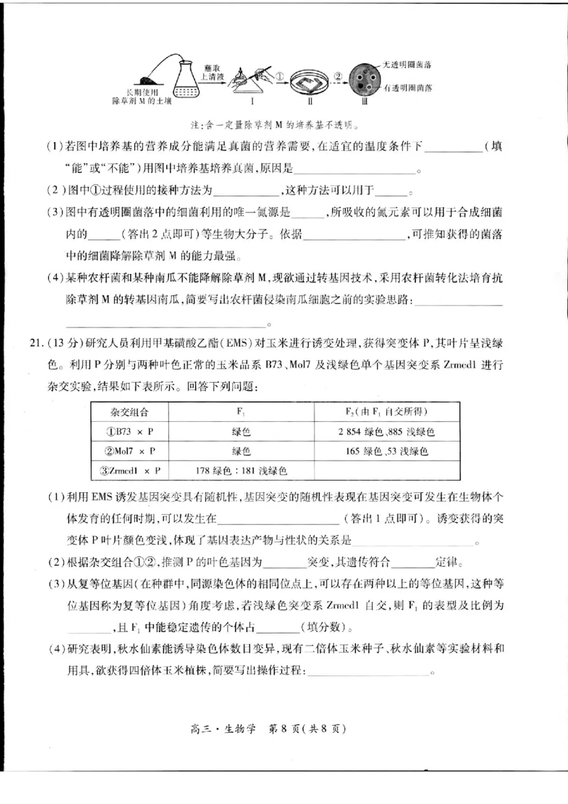 2023-2024学年江西省高三5月高考适应性大练兵联考生物_2024年5月_01按日期_30号_2024届江西省稳派上进高三5月高考适应性大练兵联考