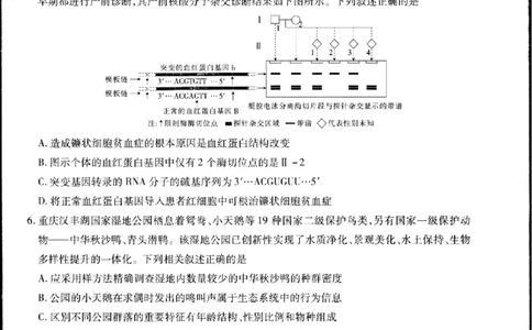 2023-2024学年江西省高三5月高考适应性大练兵联考生物_2024年5月_01按日期_30号_2024届江西省稳派上进高三5月高考适应性大练兵联考