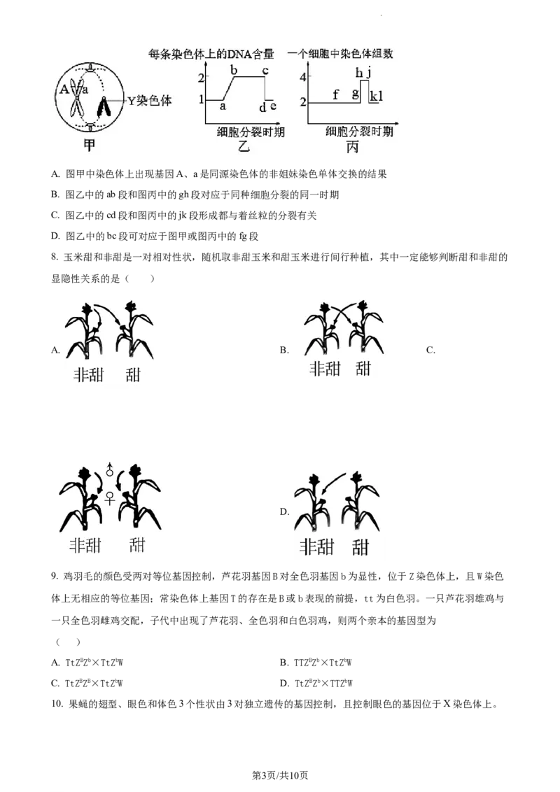 精品解析：江西省宜春市宜丰中学2023-2024学年高三10月月考生物试题（原卷版）(1)_2023年10月_0210月合集_2024届江西省宜春市宜丰中学创新部高三上学期10月月考