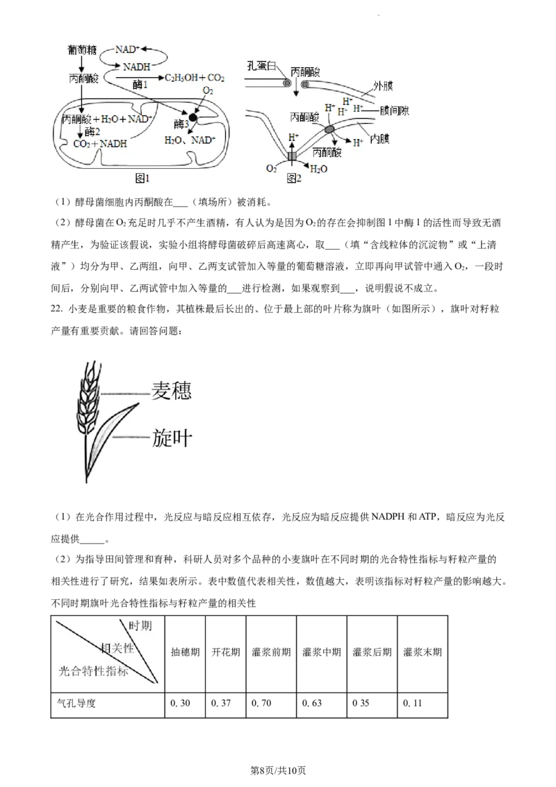精品解析：江西省宜春市宜丰中学2023-2024学年高三10月月考生物试题（原卷版）(1)_2023年10月_0210月合集_2024届江西省宜春市宜丰中学创新部高三上学期10月月考