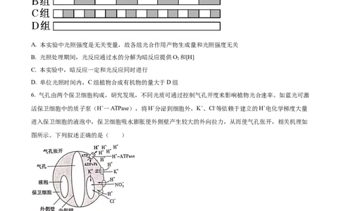 精品解析：江西省宜春市宜丰中学2023-2024学年高三10月月考生物试题（原卷版）(1)_2023年10月_0210月合集_2024届江西省宜春市宜丰中学创新部高三上学期10月月考
