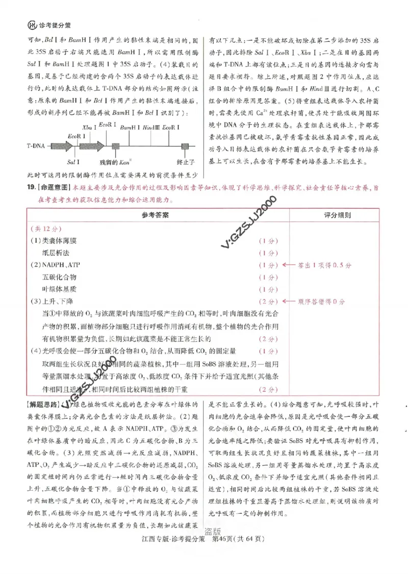 王后雄高考押题预测卷2024江西专版诊考提分册_2024高考押题卷_22024王hou雄_16王后雄押题_2024年王后雄高考押题预测卷（江西专版）