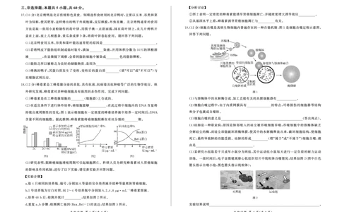 江西高三定制卷（生物）试卷_2023年9月_01每日更新_29号_2024届江西省百师联盟高三上学期一轮复习联考试题_江西省百师联盟2024届高三上学期一轮复习联考试题生物