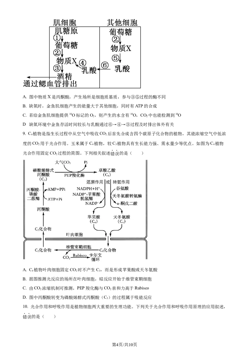 精品解析：山西省部分学校2023-2024学年高三上学期第一联考（月考）生物试题（原卷版）_2023年9月_01每日更新_19号_2024届全国名校大联考年高三上学期第一联考（月考）（XGK）
