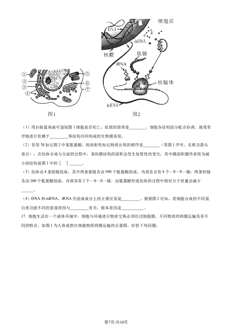 精品解析：山西省部分学校2023-2024学年高三上学期第一联考（月考）生物试题（原卷版）_2023年9月_01每日更新_19号_2024届全国名校大联考年高三上学期第一联考（月考）（XGK）