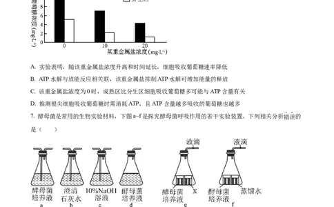 精品解析：山西省部分学校2023-2024学年高三上学期第一联考（月考）生物试题（原卷版）_2023年9月_01每日更新_19号_2024届全国名校大联考年高三上学期第一联考（月考）（XGK）