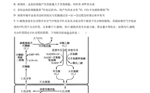 精品解析：山西省部分学校2023-2024学年高三上学期第一联考（月考）生物试题（原卷版）_2023年9月_01每日更新_19号_2024届全国名校大联考年高三上学期第一联考（月考）（XGK）