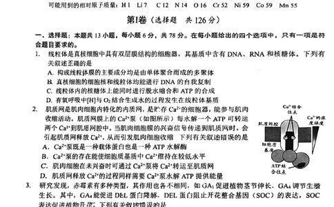 2024届四川省泸州市高三第三次教学质量诊断性考试理综试卷(1)_2024年4月_024月合集_2024届四川省泸州市高三第三次教学质量诊断性考试