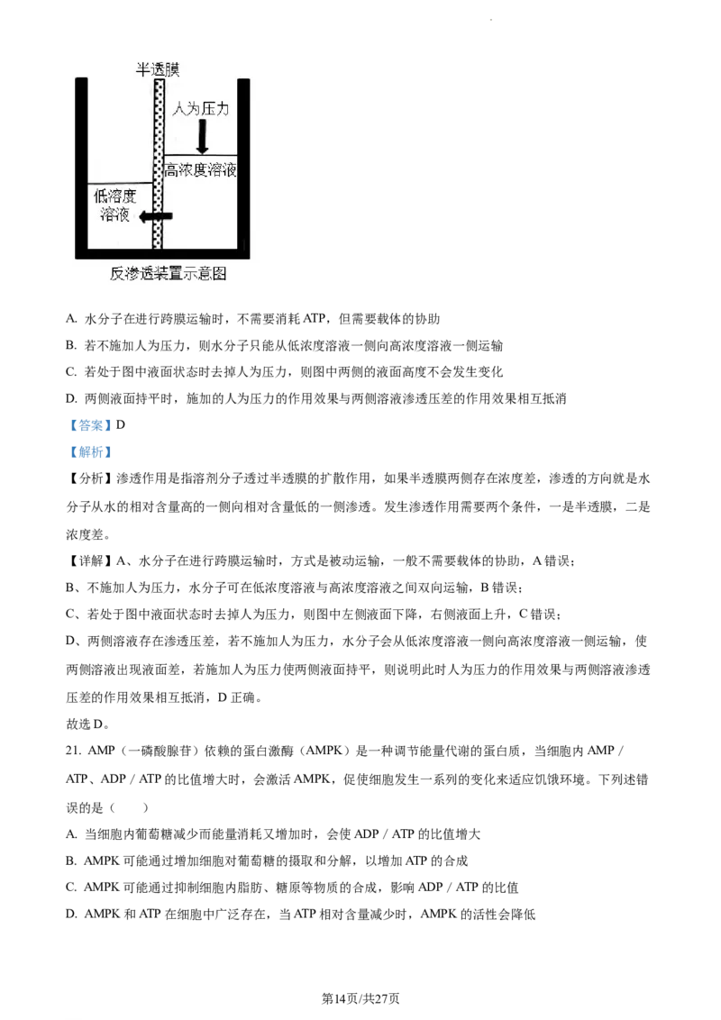 精品解析：福建省三明市一中2023-2024学年高三10月月考生物试题（解析版）(1)_2023年10月_0210月合集_2024届福建省三明市一中高三10月月考_福建省三明市一中2024届高三10月月考生物