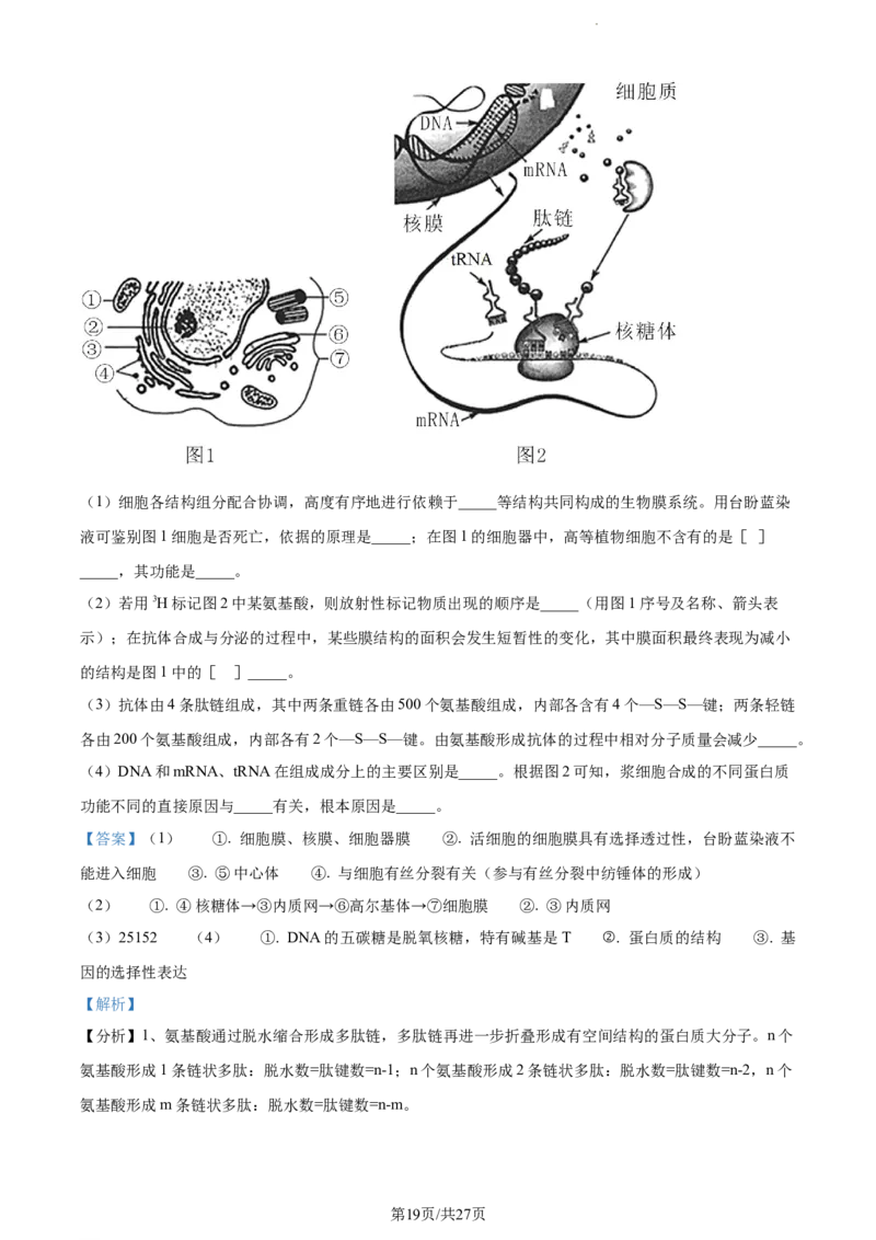精品解析：福建省三明市一中2023-2024学年高三10月月考生物试题（解析版）(1)_2023年10月_0210月合集_2024届福建省三明市一中高三10月月考_福建省三明市一中2024届高三10月月考生物