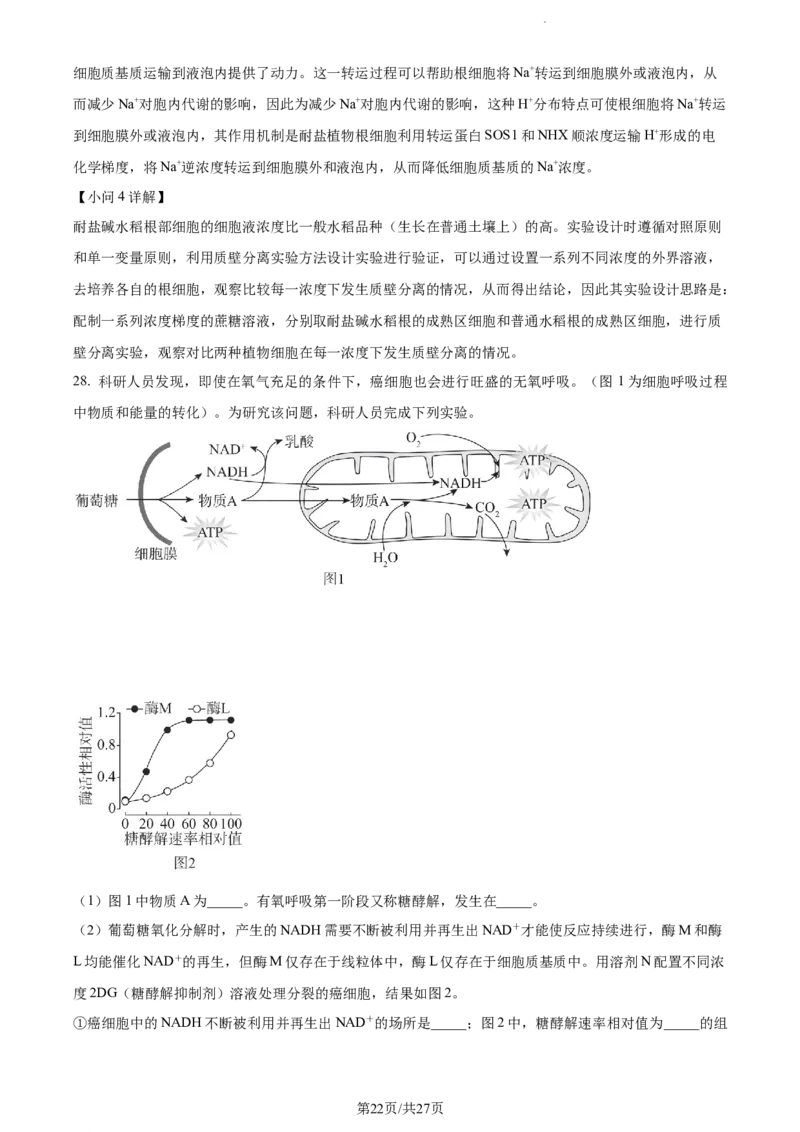 精品解析：福建省三明市一中2023-2024学年高三10月月考生物试题（解析版）(1)_2023年10月_0210月合集_2024届福建省三明市一中高三10月月考_福建省三明市一中2024届高三10月月考生物