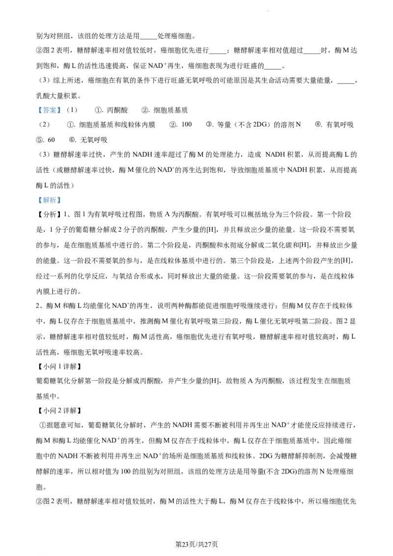 精品解析：福建省三明市一中2023-2024学年高三10月月考生物试题（解析版）(1)_2023年10月_0210月合集_2024届福建省三明市一中高三10月月考_福建省三明市一中2024届高三10月月考生物