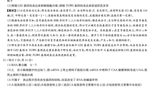 生物答案（长郡高三2）(1)_2023年10月_0210月合集_2024届湖南省长沙市长郡中学高三上学期月考卷（二）_2024届湖南省长沙市长郡中学高三上学期月考卷（二）生物